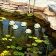thumbnail image 4 of 6Pcs Garden Lotus Floating Decor Pond Fake Lotus Flower Craft Simulation Lotus Flower Decor Lotus Decor, 4 of 9