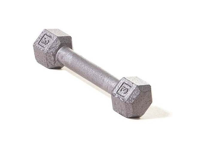 Champion Barbell® 100 lb Solid Hex Dumbbell SOLD INDIVIDUALLY 