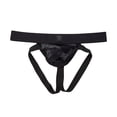 thumbnail image 1 of Gregg Homme High-Line Jock- 160234, 1 of 1
