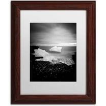 Trademark Fine Art 'White as Ice' Canvas Art by Philippe Sainte-Laudy, White Matte, Wood Frame