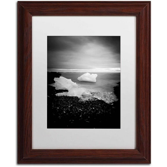 Trademark Fine Art 'White as Ice' Canvas Art by Philippe Sainte-Laudy, White Matte, Wood Frame