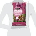 Marketside Kale Pecan Cranberry Chopped Salad Kit, 7 oz Bag, Fresh