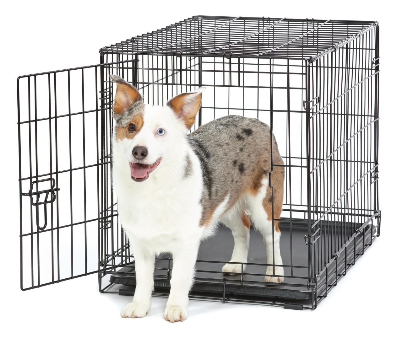 VIBRANT LIFE WIRE DOG CRATE, SINGLE-DOOR, DIVIDER AND LEAK-PROOF TRAY, METAL, FOLDABLE, DURABLE, BLACK, 30″