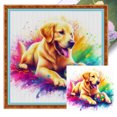 thumbnail image 1 of Hilo Algodón Ecológico para Bordado Punto Cruz Con Golden Retriever 11CT 40x40cm, 1 of 9