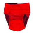 thumbnail image 3 of Barkertime Red Stripes Dog Diaper, 3 of 7