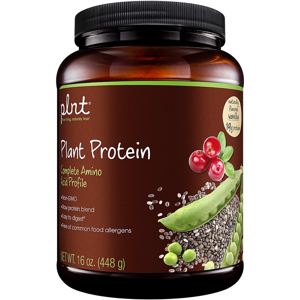plnt Plant Protein Vanilla With Complete Amino Acid Profile, NonGMO, Vegan Raw Protein Blend Easy To Digest Provides Energy Support (1 Pound Powder)