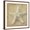 Brown Frame, variant on Art.com Sepia Shell I Art Print by Judy Stalus, White Frame Wall Art, 21" x 21"