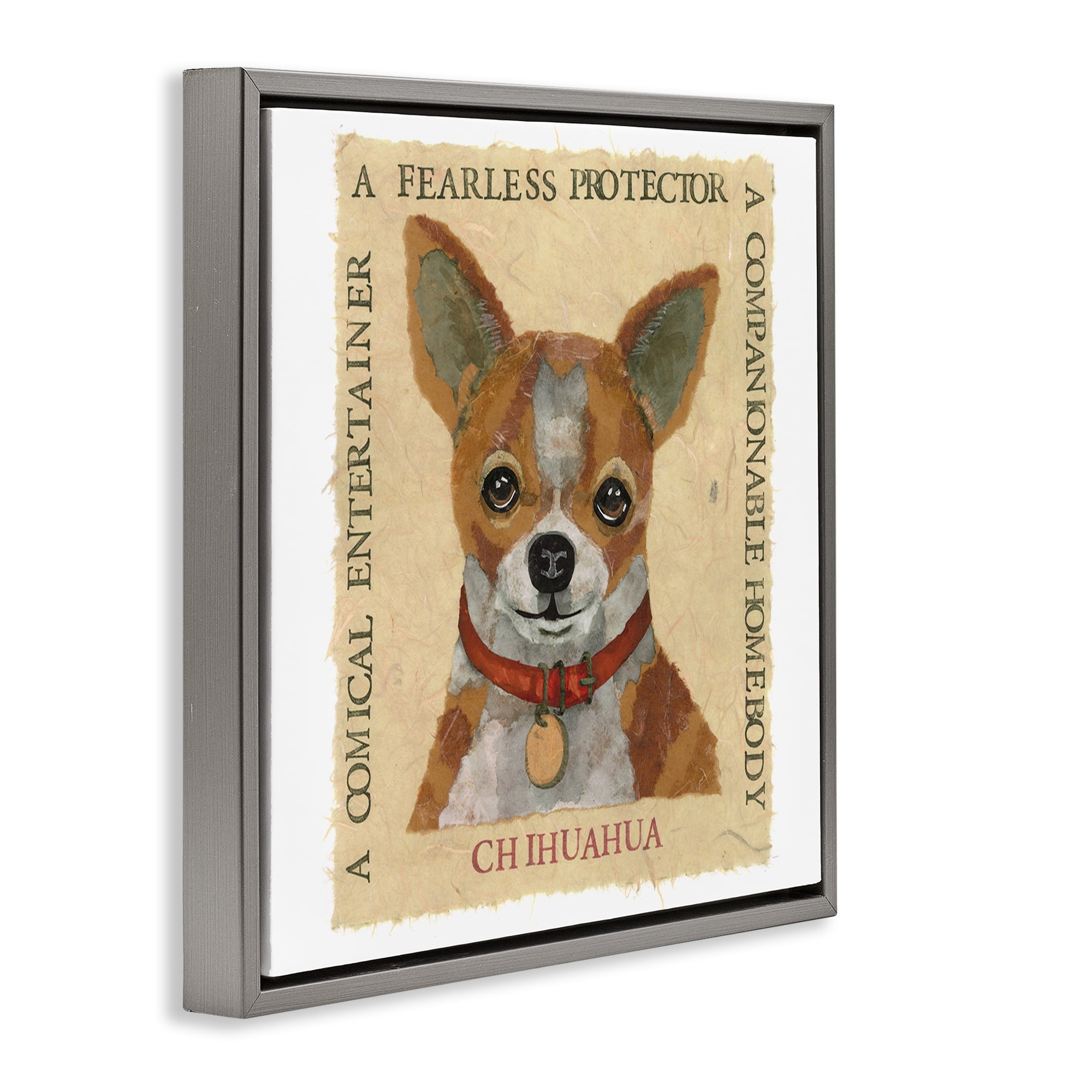 Stupell Industries Fun Chihuahua Pet Phrases Animals Painting Gray Floater Framed Canvas Art Print Wall Art, 18 x 18