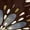 Brown & Blue Floral, variant on Kitchen Mat Set of 2 Non Slip Waterproof Kitchen Rugs, Washable Low Profile Floor Mats 17"x28" + 17"x48", Modern Floral Botanical Pattern Soft Mats for Sink, Laundry Room, Entryway, Brown