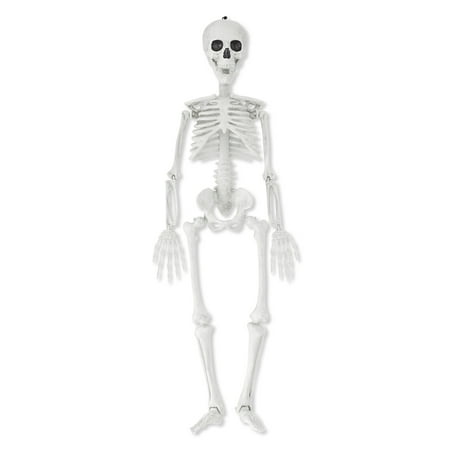 35" Hanging Faux Skeleton Outdoor Decoration, Halloween by Way To Celebrate