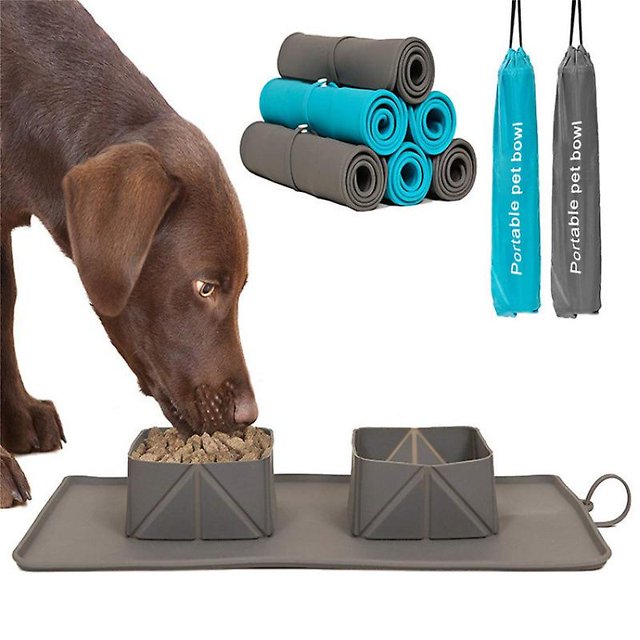 Tazón Plegable para Perros Perro/gato Tazón de Alimentación Plegable de Silicona Tazones Dobles Estera con Bolsa de Almacenamiento para Viajes en casa,Green. Afortunado Sencillez