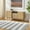 Arctic Stone, Dark Gray, Pewter / Moby, variant on Hauteloom Moby Recycled Material Striped Farmhouse Living Room, Bedroom Area Rug - Casual Performance Carpet with Tassel, Fringe - Gray, White - 5' x 7'6"