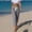 Black, variant on Pants for Women Cropped Striped Pants Elastic Drawstring Waist with Pockets Casual Lightweight Breathable Straight Leg Trousers for Beach Vacation Daily Outing Looks