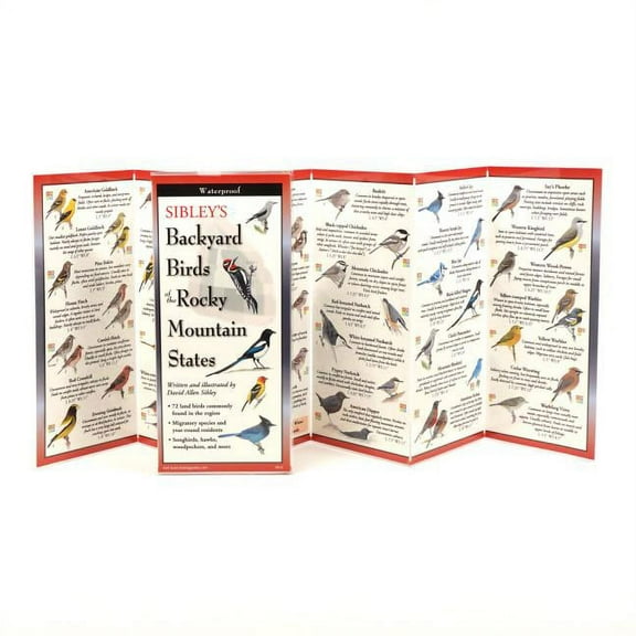 FoldingGuides: Sibley's Back. Birds of Rocky Mountain States (Other)