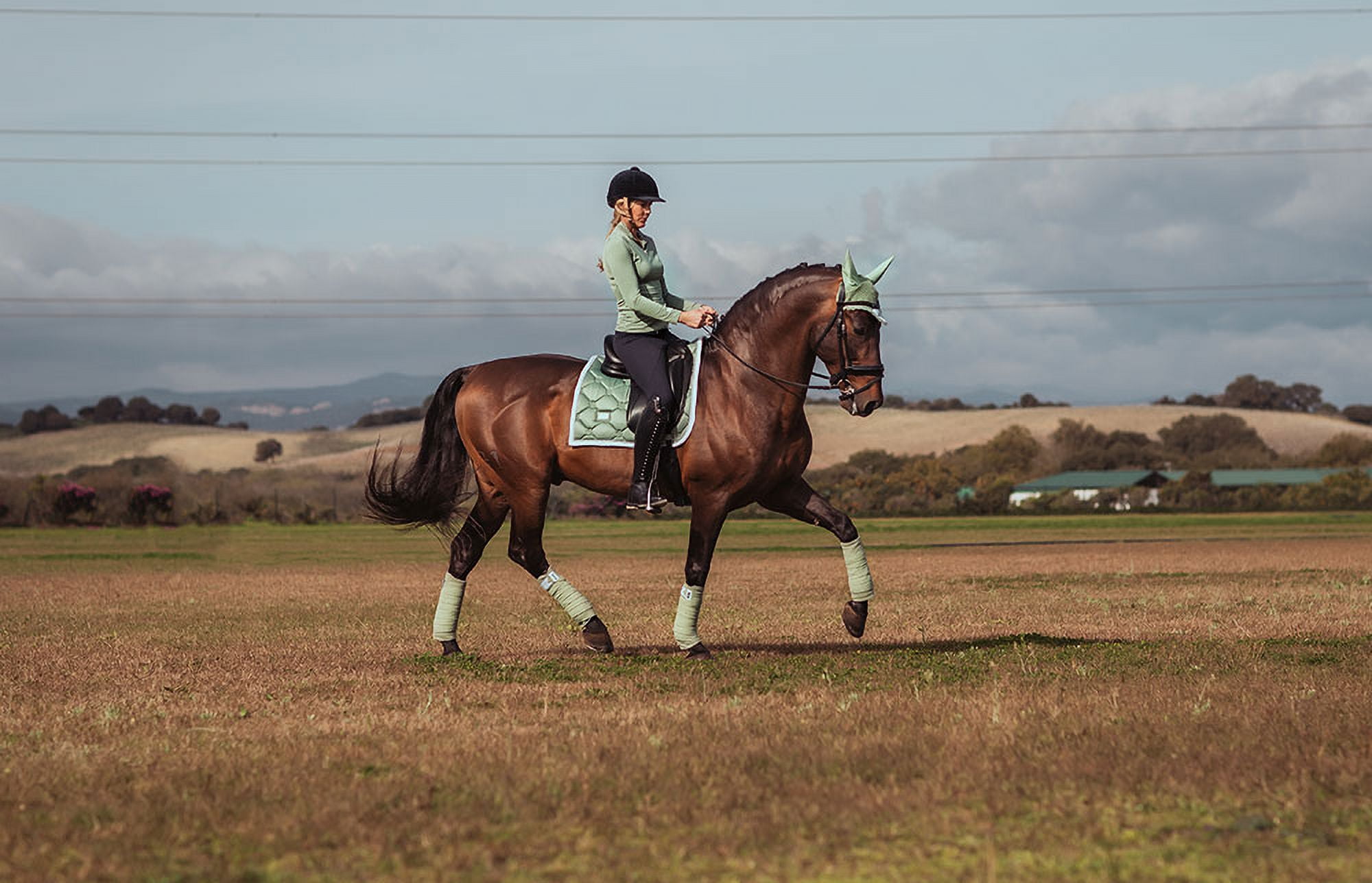 Equestrian Stockholm Fleece Bandages Pistachio White