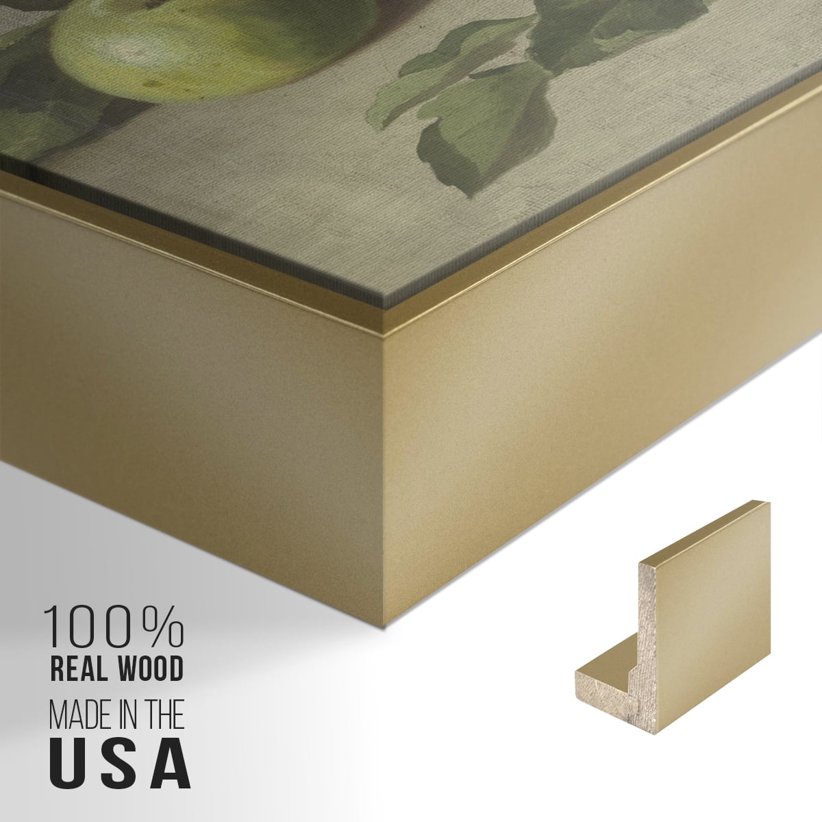 Vintage Botanical Print-LXXXVI By Wexford Home Framed in Gold Wood Gallery Wrapped Canvas 17 in. x 25 in.
