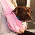 thumbnail image 2 of Sac de Transport pour Chien et Chat Mains Libres Réversible Sac pour Animaux Design Doux, 2 of 2