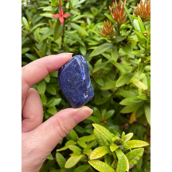 Sodalite Tumbled Stones, Polished Sodalite Gemstone, Healing Crystals (Sodalite, 5 Pound)