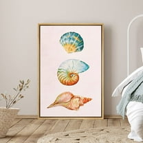 PixonSign Framed Canvas Print Wall Art Pastel Blue and Orange Seashell Trio Nature Ocean Illustrations Modern Art Nautical Relax/Calm Multicolor Boho Decor for Living Room, Bedroom - 16"x24"