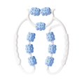 thumbnail image 1 of Tachiuwa Rouleau de Musculation à 9 Roues, Rouleau Masseur Polyvalent pour Jambes, pour Mollets, Poignet, Bras, Bleu, 1 of 9