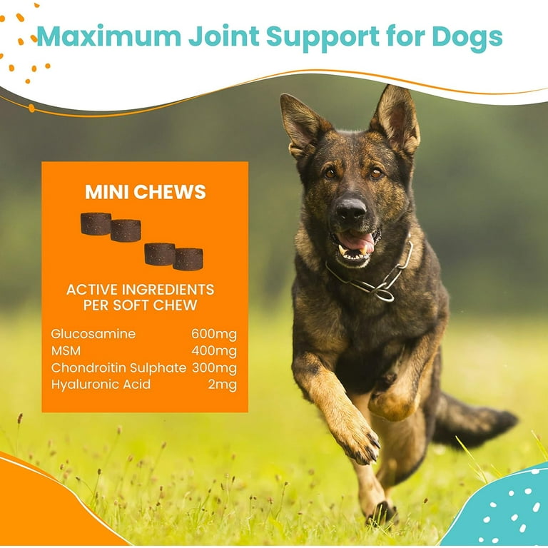 Nootie Glucosamine for Dogs 250 ct Hip and Joint Soft Chews