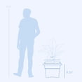 thumbnail image 2 of Bloem Veranda 14" Square Box Plastic Planter - UV-Resistant, Indoor/Outdoor, Peppercorn, 2 of 2