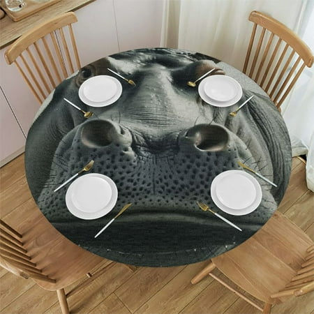 

SHERONV Hippo Bird Round Table Cover Stain Resistant Washable Indoor Outdoor Tablecloth Kitchen Dining Wedding Parties 100% Polyester Fiber 54-58