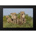 thumbnail image 2 of Parker, Susann 24x17 Black Modern Framed Museum Art Print Titled - The Tribe, 2 of 5