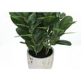thumbnail image 6 of Artificial Plant - 31" Tall - Indoor - Floor - Potted - Green Leaves, 6 of 6