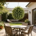 thumbnail image 7 of HuiXinOu Artificial Topiary Ball, Dark Green Fake Shrub Grass Decor for Indoor Outdoor Planter, Cyprus Ball for Garden Patio Table Centerpiece, 7 of 7