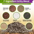 thumbnail image 2 of Succulents Soil Potting Mix – 7 in 1 Ingredients Well-Draining, Nutrient-Rich Cactus Potting Soil for Succulents and Cacti, Indoor & Outdoor Use, Ready to Use, Supports Healthy Root Growth, 1QT, 2 of 4