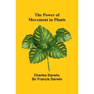 fake fern plants 32 Artificial Boston Fern Plant with Metal Planter with Stand DIY KIT