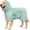 Green, variant on Soft Bathrobe Drying Coat, Super Absorbent Towels for After Bath, Microfiber Robe Adjustable & Warm Keeping Dogs Coat for Dogs & Cats (Blue, Small)