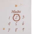 thumbnail image 3 of NoJo Disney Classic Winnie the Pooh Milestone Baby Blanket, 3 of 4