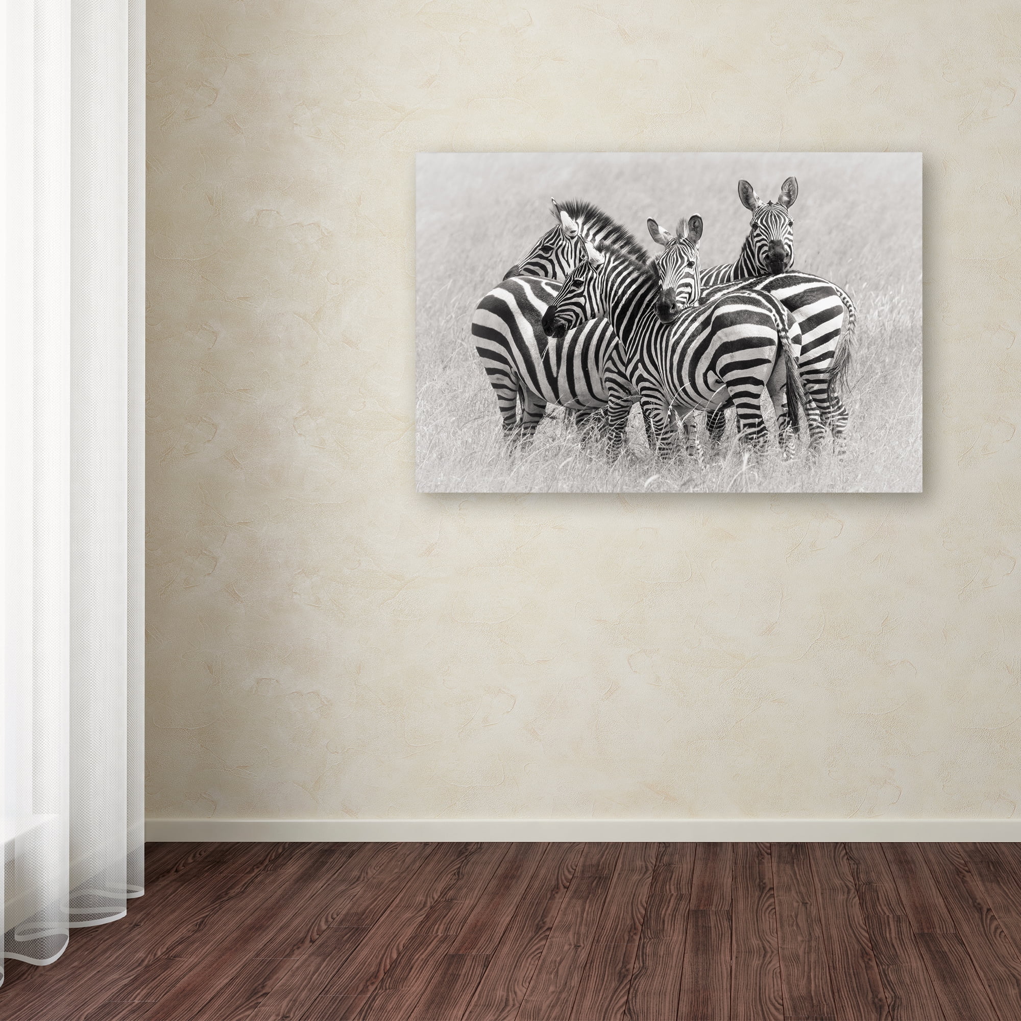 Trademark Fine Art 'Zebras' Canvas Art by Kirill Trubitsyn