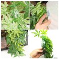 thumbnail image 4 of Planta acuática artificial colgante para acuario, pecera, decoración de hojas verdes, 50 cm, 4 of 7