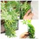 thumbnail image 4 of Planta acuática artificial colgante para acuario, pecera, decoración de hojas verdes, 50 cm, 4 of 7