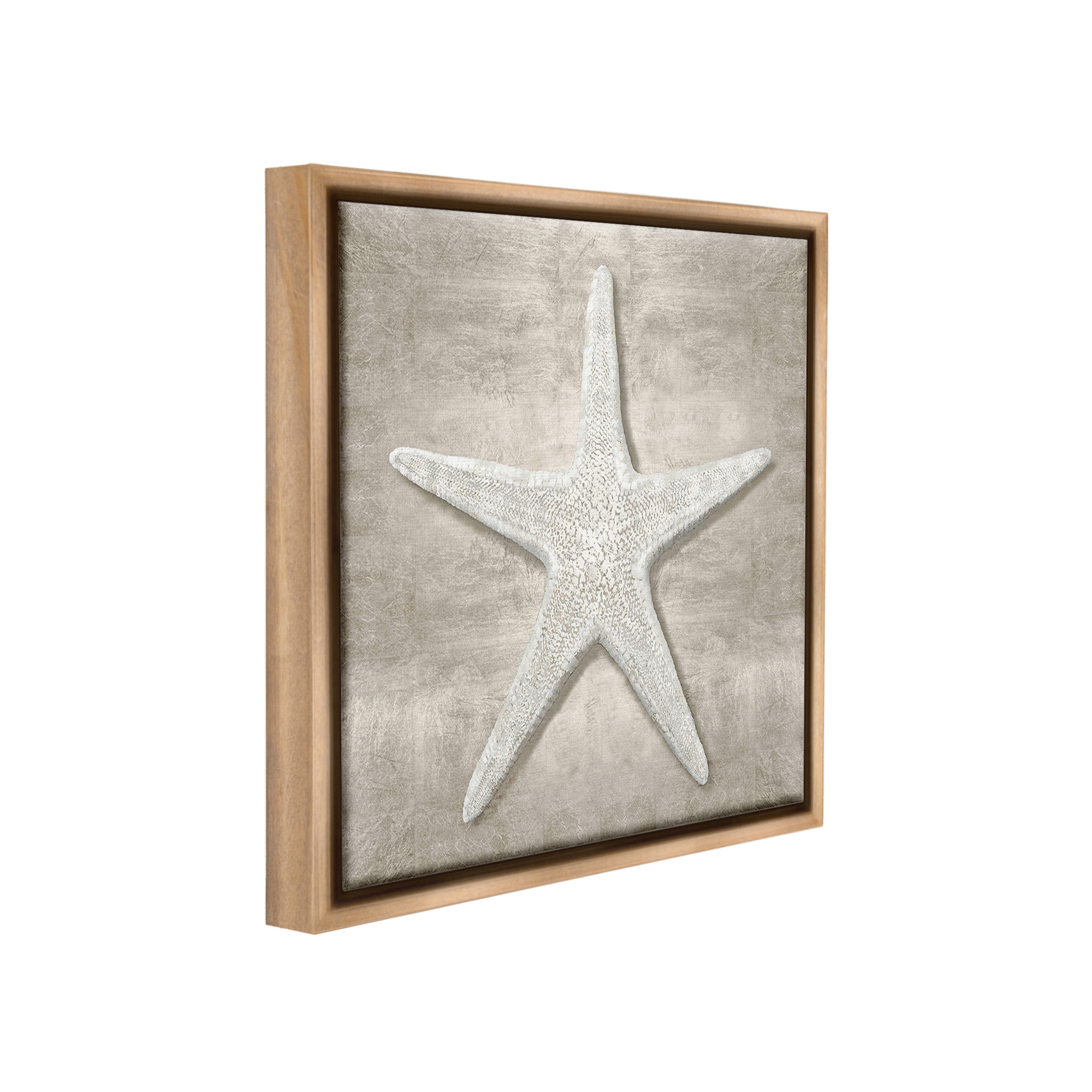 Stupell Industries Rustic Grey Starfish Nature Painting Brown Floater Framed Canvas Art Print Wall Art, 18 x 18