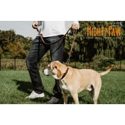 Mighty Paw Leather Dog Training Collar, Martingale Dog Collar with Stainless Steel Chain, Small