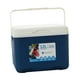 thumbnail image 5 of Caja refrigeradora aislada portátil shamjiam congelador de pecho de hielo azul 12 litros, 5 of 8