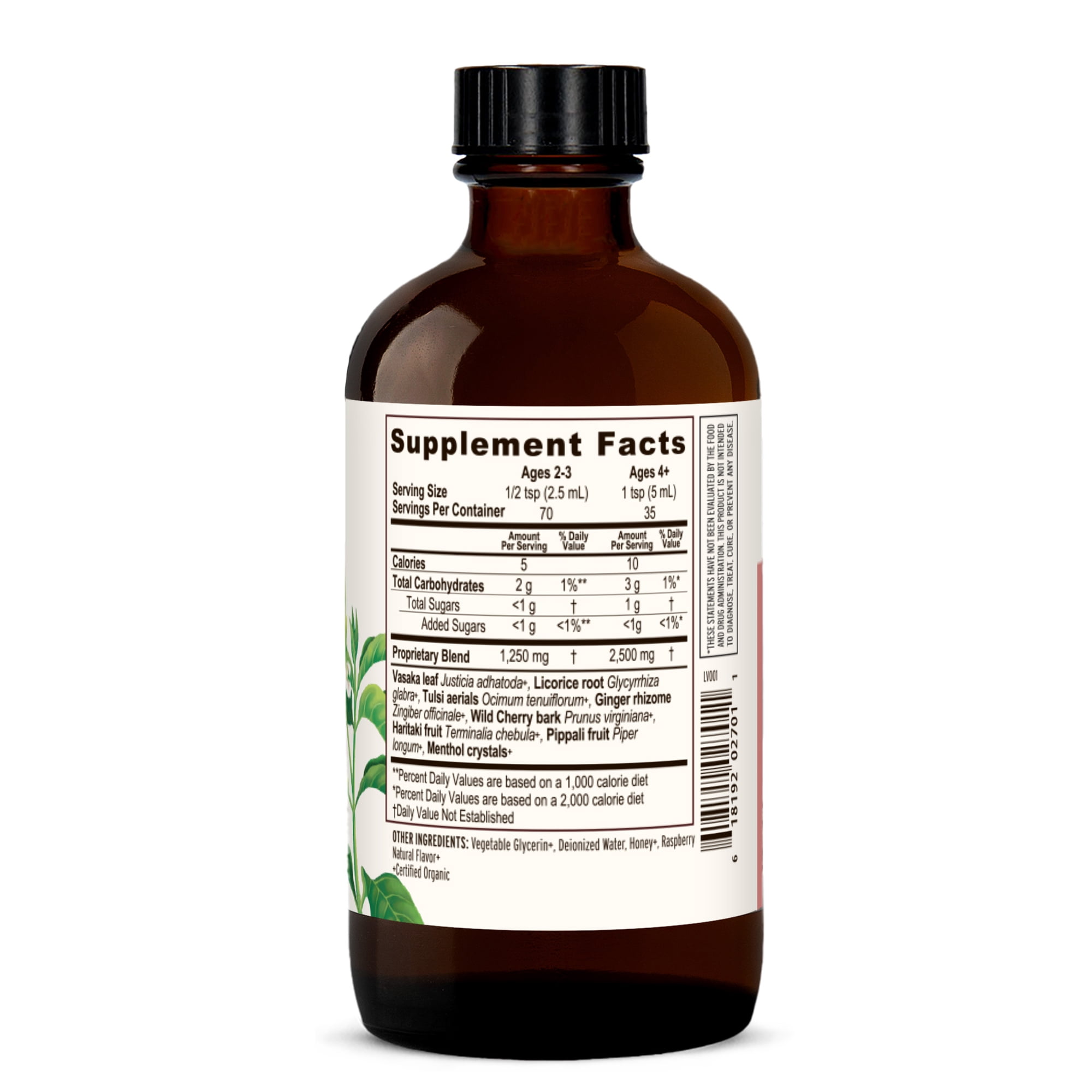 Banyan Botanicals Bronchial Support – Organic Herbal Syrup for Children & Adults – Soothing Respiratory Support Formula with Licorice & Ginger Root* – 6oz. – Non GMO Sustainably Sourced Vegetarian