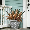 thumbnail image 5 of Taicans Artificial Boston Fern & Tropical Plants,Faux Plants Outdoor Fake Boston Ferns Potted Plants Realistic Agave Metal Greenery Patio Outside Shrubs Flower Grass Front Porch Decor, 5 of 6