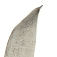 thumbnail image 3 of Vickerman 24-30" White Wash Palm Paddle. Includes 3 Paddle per Pack, Dried, 3 of 5