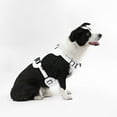 thumbnail image 2 of THE LICKER STORE Arlo Large Adjustable Soft Padded No Pull Pet Harness with 3 Buckles and 3 Leash Clips, White, HNS1003F, 2 of 8