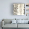 thumbnail image 2 of Trademark Fine Art 'Gray Circles I' Canvas Art by Chris Paschke, 2 of 4