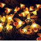 thumbnail image 2 of Abeille Guirlandes, 6,5 m Énergie solaire 30 LED Lumière exterior, Imperméable Lumières féériques, Bumble Bee Forme Décor Lumière Pour Extérieur, Mariage, Paysage, Jardin, Patio, Fête, 2 of 8