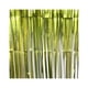 thumbnail image 1 of Inteprter Cortina de lentejuelas para adultos, graduación, fiesta de graduación, decoraciones para fiestas, telón de fondo decorativo, Kits de decoración para fiestas Verde, 1 of 6