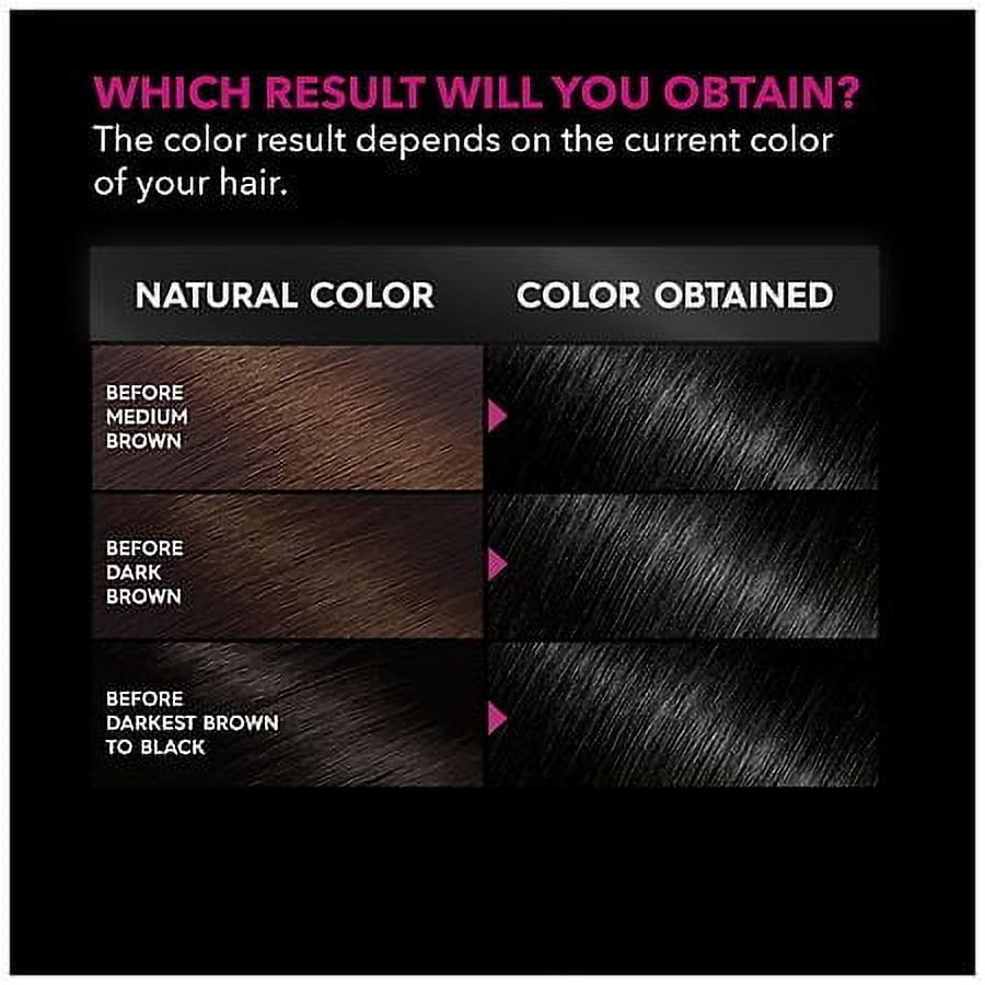 Garnier Olia Oil Powered Ammonia Free Permanent Hair Color, 2.0 Soft Black 1.0 set Pack of 2
