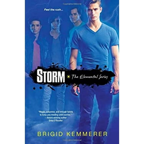 Pre-Owned Storm (Paperback) 0758272812 9780758272812