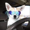 thumbnail image 2 of Shopping Mall Dog Goggles Anti-UV Adjustable Transparent Dog Sunglasses Easy to Wear Windproof Motorcycle Puppy Glasses (Transparent Black), 2 of 5